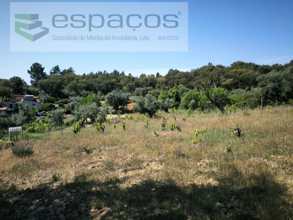 Quinta para Venda em Salgueiro do Campo Foto 7