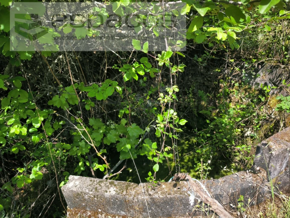 Quinta para Venda em Salgueiro do Campo Foto 10