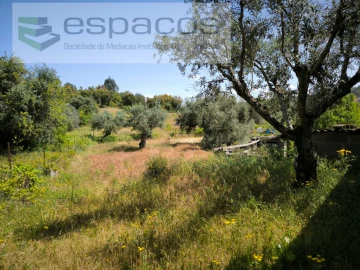 Quinta para Venda em Salgueiro do Campo
