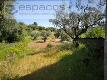 Quinta para Venda em Salgueiro do Campo