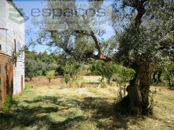 Quinta para Venda em Salgueiro do Campo