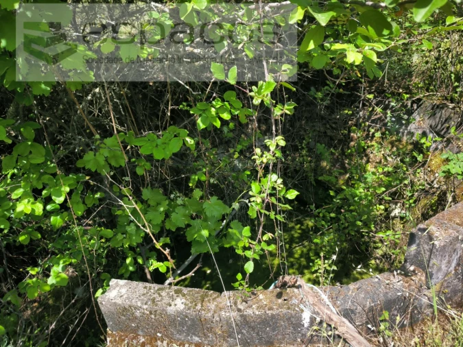 Quinta para Venda em Salgueiro do Campo Foto 10