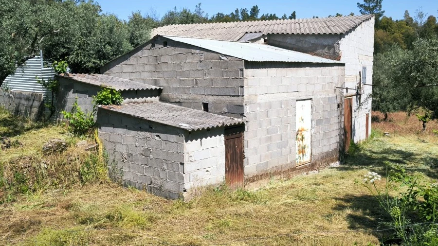 Quinta para Venda em Salgueiro do Campo