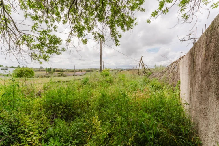 Moradia T3 para Venda em Azoia de Cima e Tremês Foto 21
