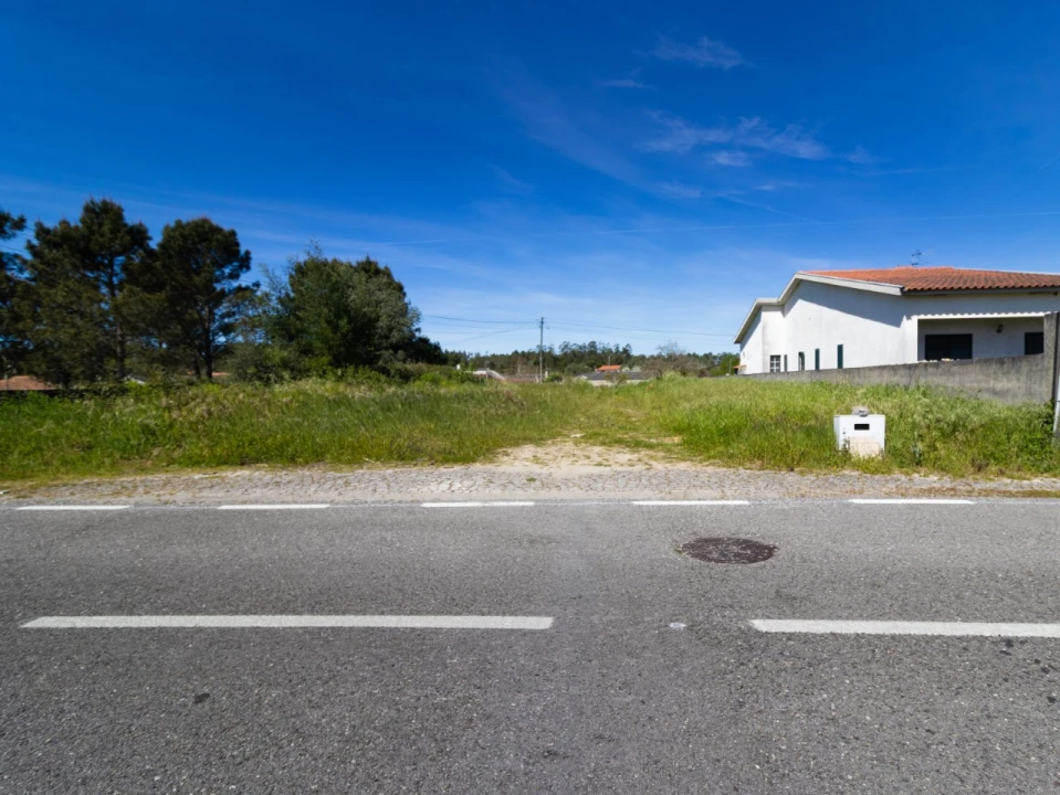 Terreno para Venda em Cantanhede e Pocariça Foto 2