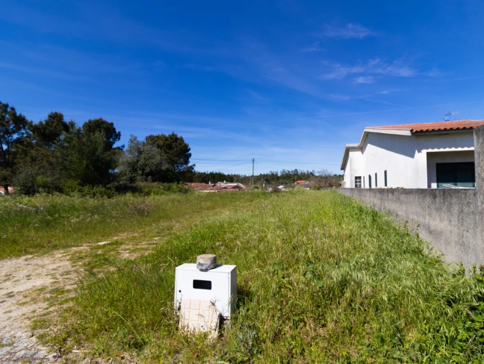 Terreno para Venda em Cantanhede e Pocariça Foto 3