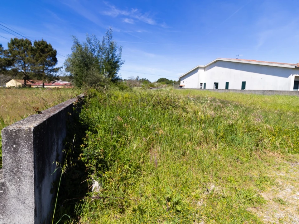 Terreno para Venda em Cantanhede e Pocariça Foto 4
