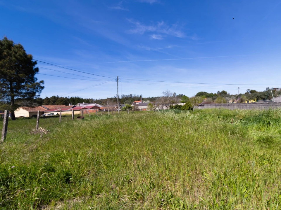 Terreno para Venda em Cantanhede e Pocariça Foto 1