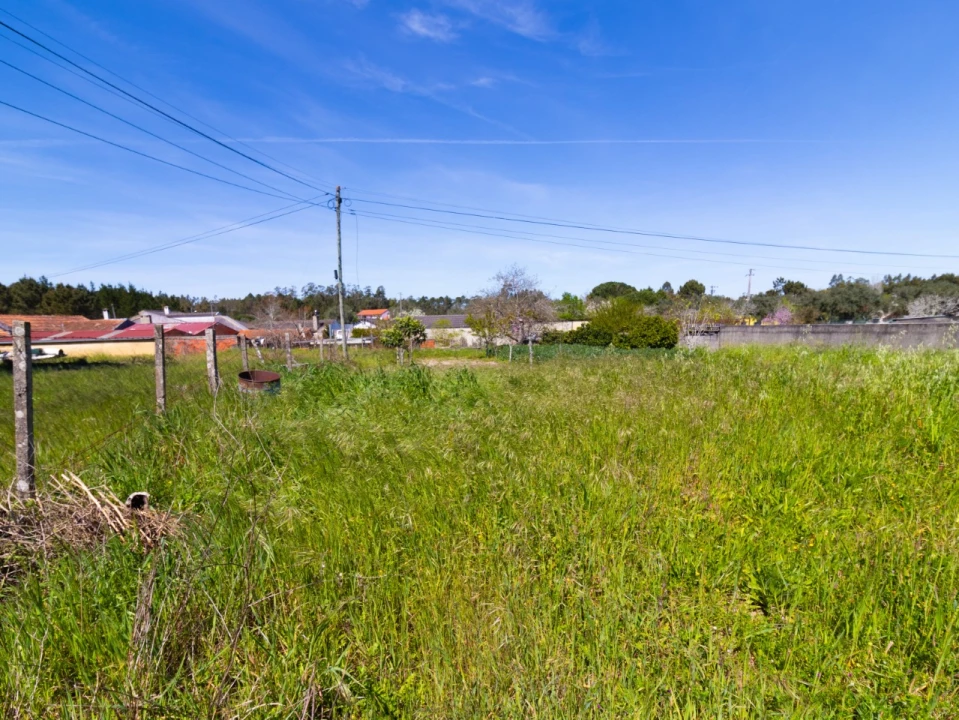 Terreno para Venda em Cantanhede e Pocariça Foto 6