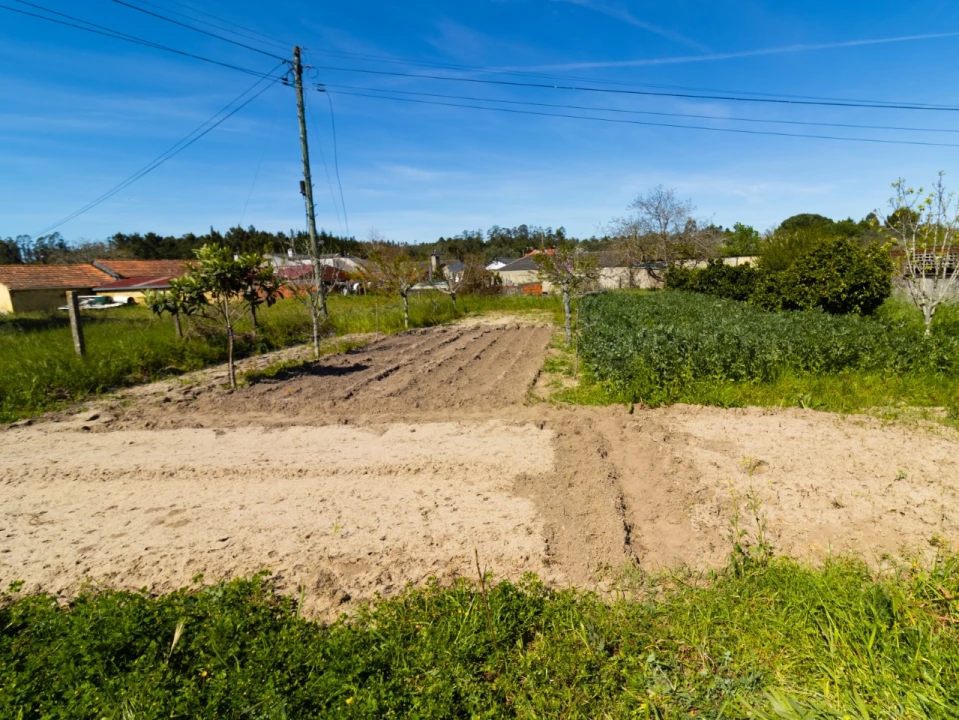 Terreno para Venda em Cantanhede e Pocariça Foto 7