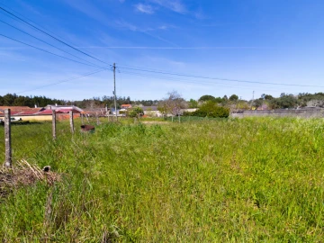 Terreno para Venda em Cantanhede e Pocariça