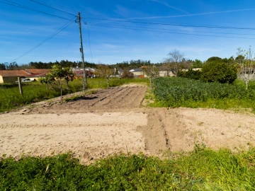 Terreno para Venda em Cantanhede e Pocariça