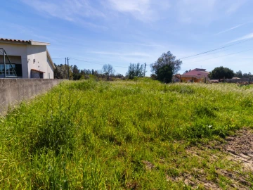 Terreno para Venda em Cantanhede e Pocariça