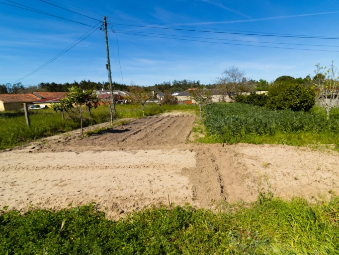 Terreno para Venda em Cantanhede e Pocariça Foto 7