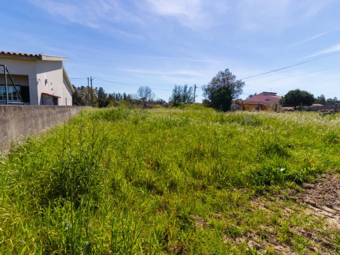 Terreno para Venda em Cantanhede e Pocariça Foto 9