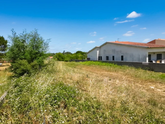 Terreno para Venda em Cantanhede e Pocariça Foto 19