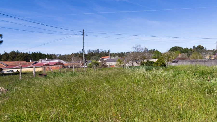 Terreno para Venda em Cantanhede e Pocariça