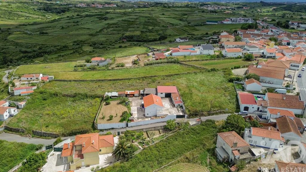 Terreno para Venda em Santa Maria e São Miguel, São Martinho, São Pedro Penaferrim Foto 5