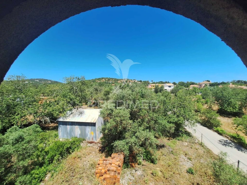 Terreno para Venda em São Brás de Alportel Foto 12
