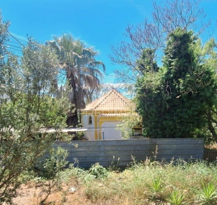 Terreno para Venda em São Brás de Alportel Foto 1