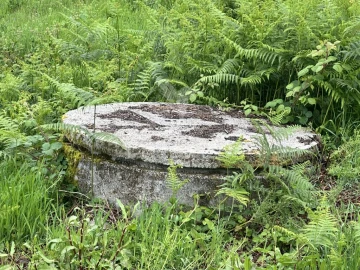 Terreno para Venda em Bornes de Aguiar