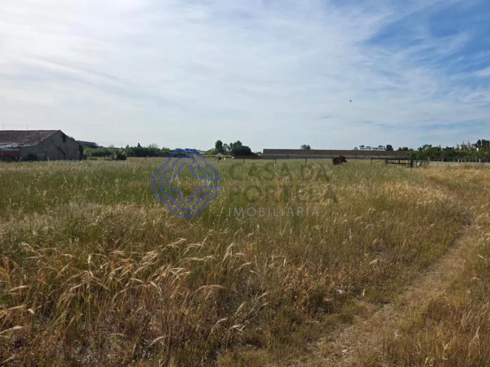 Terreno para Venda em Montijo e Afonsoeiro Foto 4