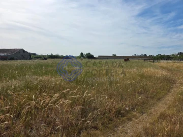 Terreno para Venda em Montijo e Afonsoeiro