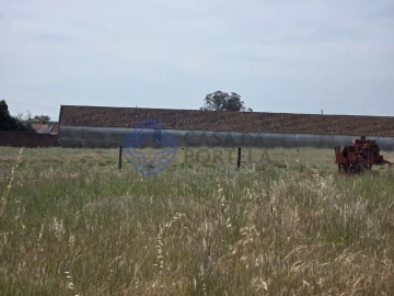 Terreno para Venda em Montijo e Afonsoeiro
