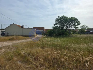 Terreno para Venda em Montijo e Afonsoeiro