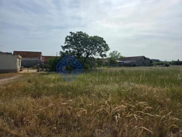Terreno para Venda em Montijo e Afonsoeiro