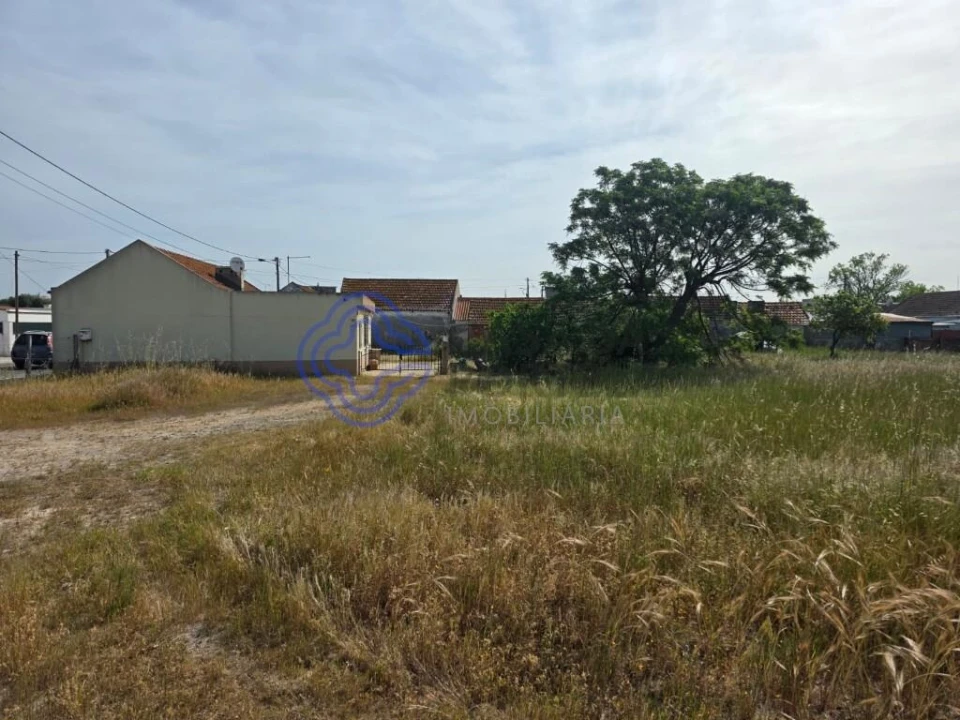 Terreno para Venda em Montijo e Afonsoeiro Foto 6