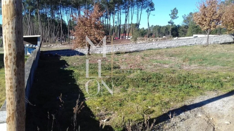 Terreno para Venda em Ferreira de Aves Foto 4