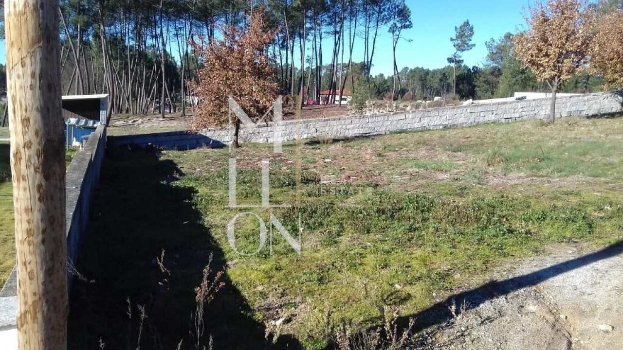 Terreno para Venda em Ferreira de Aves Foto 4