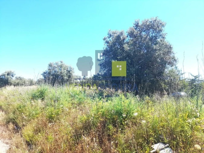 Terreno para Venda em Trigaches e São Brissos Foto 3
