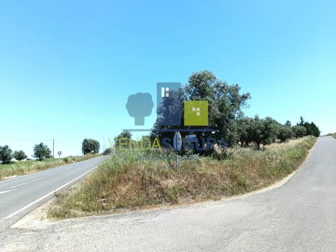 Terreno para Venda em Trigaches e São Brissos Foto 11