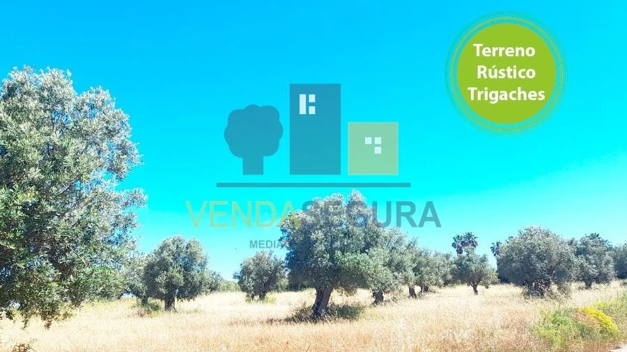 Terreno para Venda em Trigaches e São Brissos