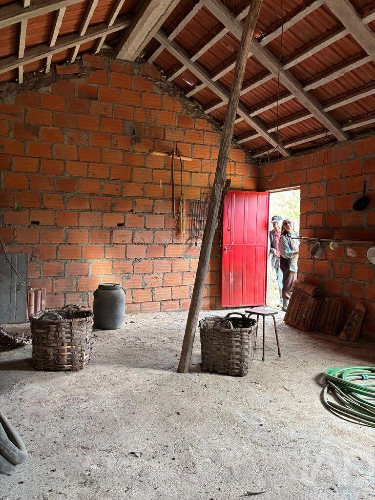 Quinta para Venda em Sarzedas Foto 12