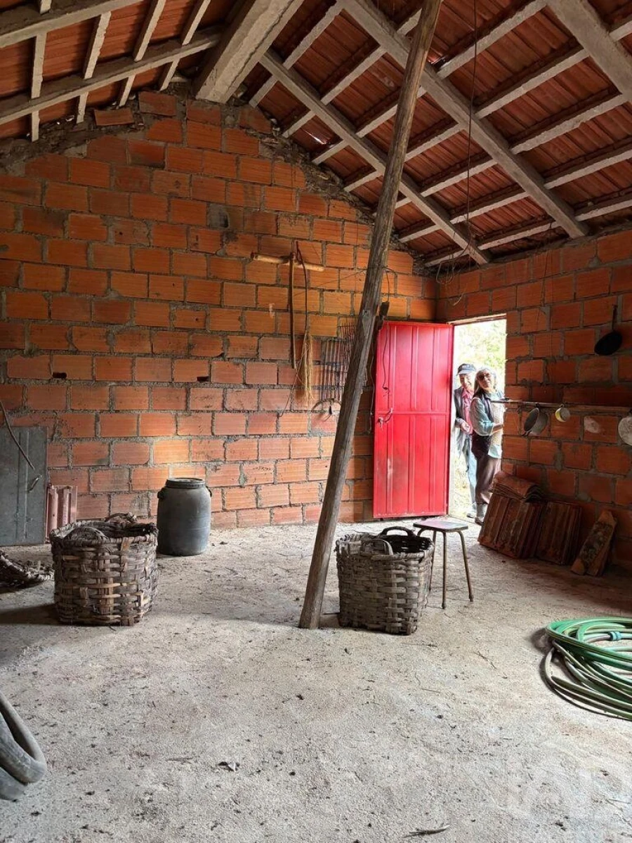Quinta para Venda em Sarzedas Foto 12