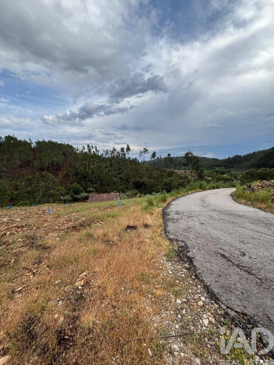 Quinta para Venda em Sarzedas Foto 16