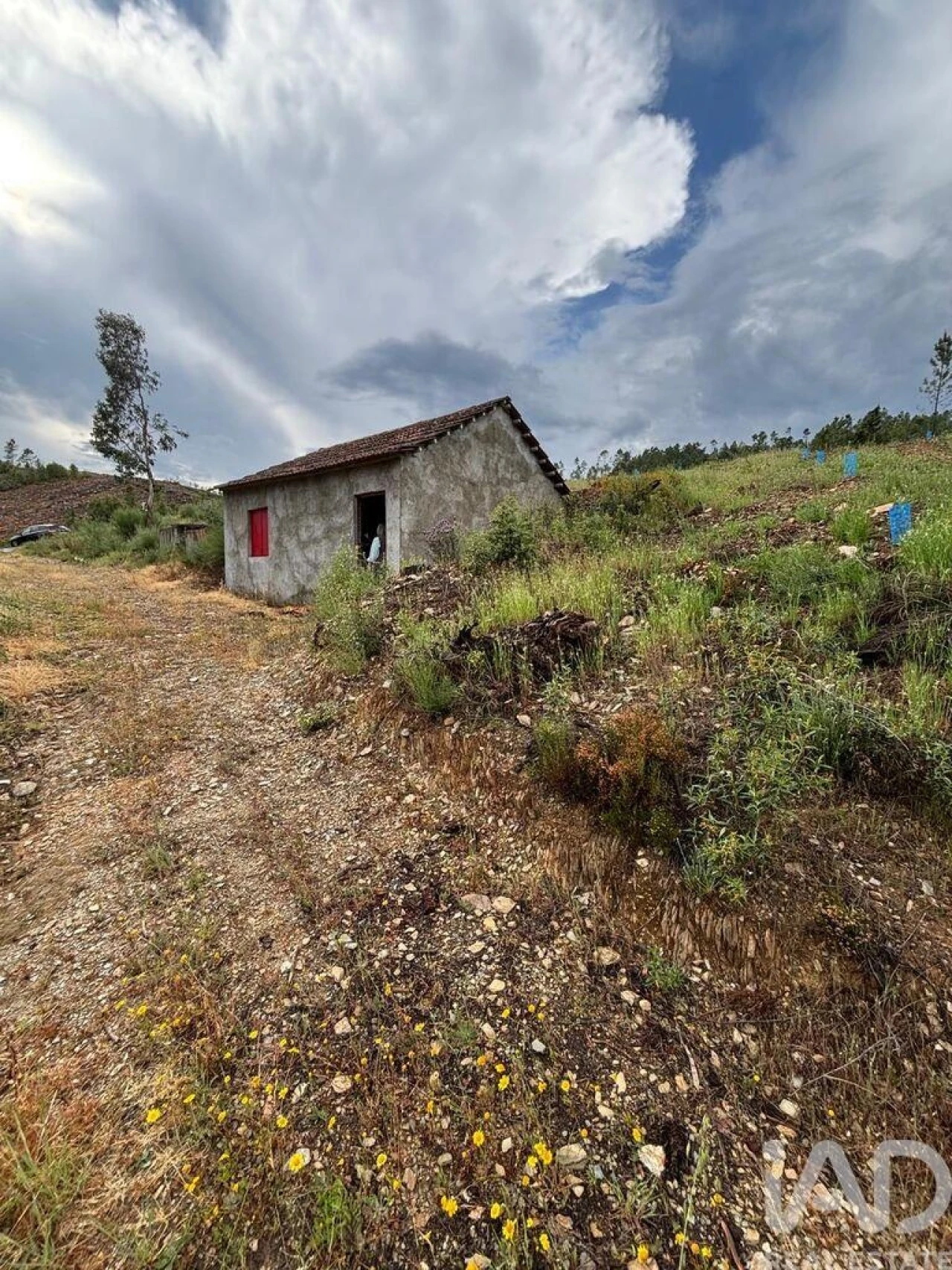 Quinta para Venda em Sarzedas Foto 15