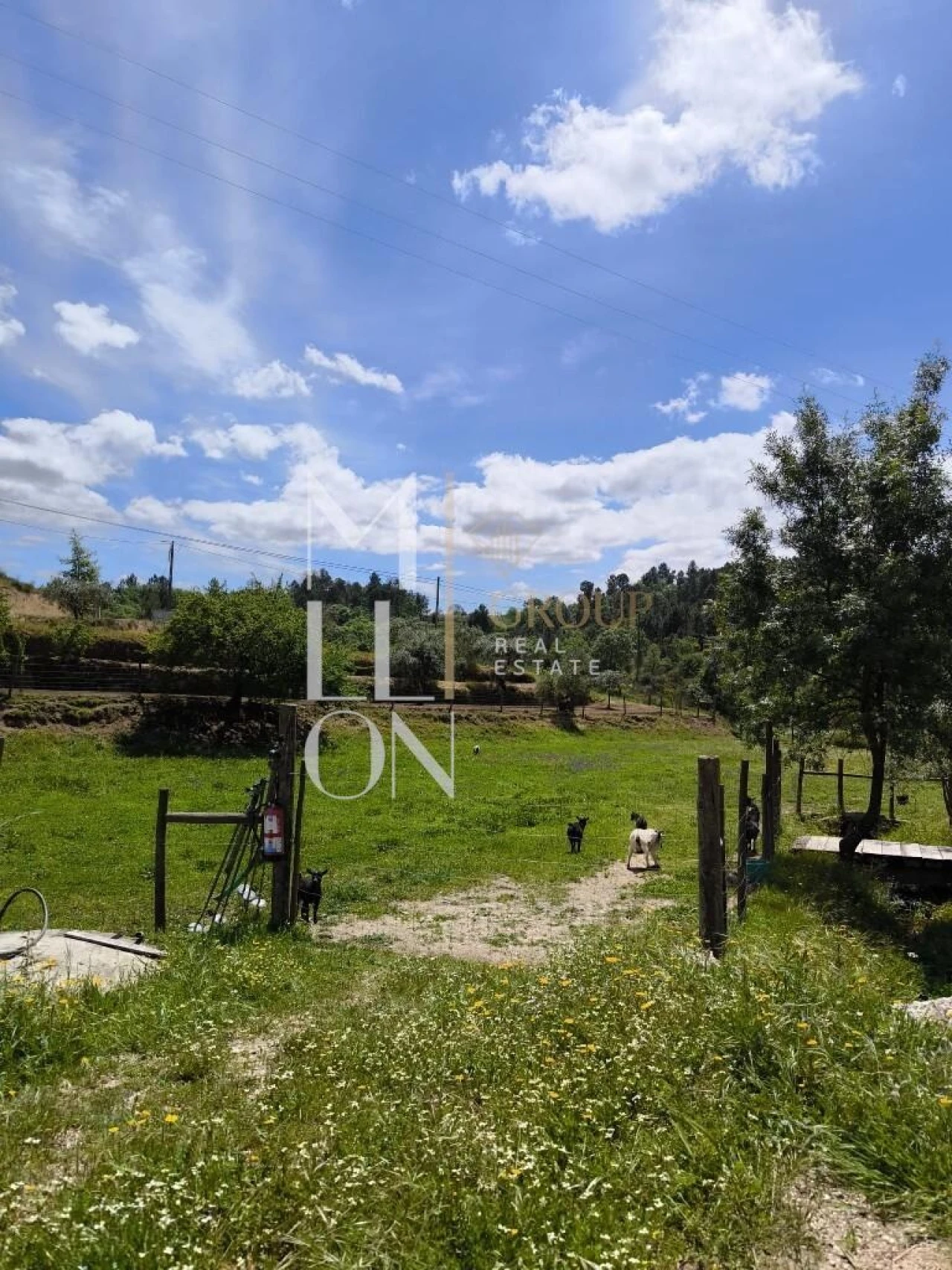 Quinta T2 para Venda em Vilares e Carnicães Foto 12
