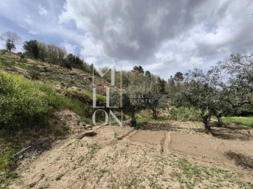 Quinta T2 para Venda em Vilares e Carnicães