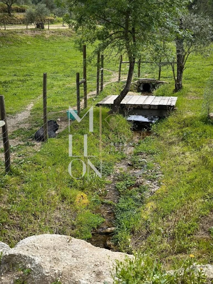 Quinta T2 para Venda em Vilares e Carnicães Foto 18