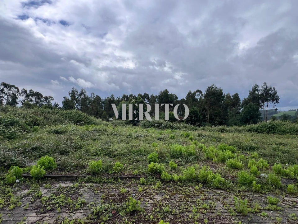 Armazém para Venda em Vilarinho das Cambas Foto 8