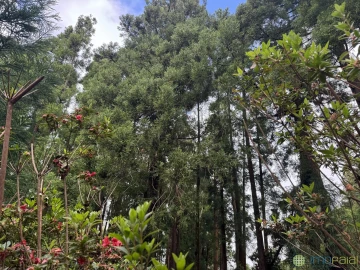 Moradia T3 para Venda em Flamengos
