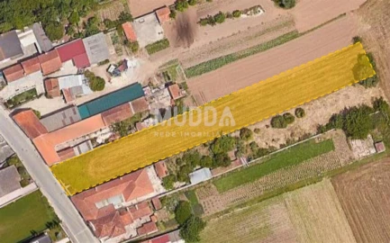 Terreno para Venda em Ílhavo (São Salvador)