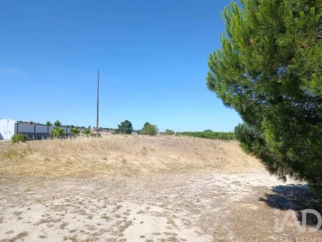 Terreno para Venda em Almeirim