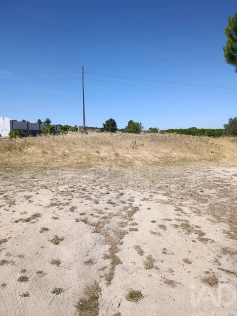 Terreno para Venda em Almeirim