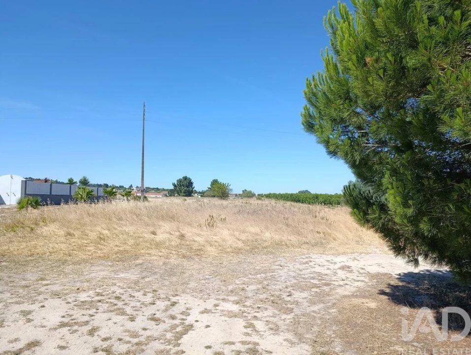Terreno para Venda em Almeirim Foto 7