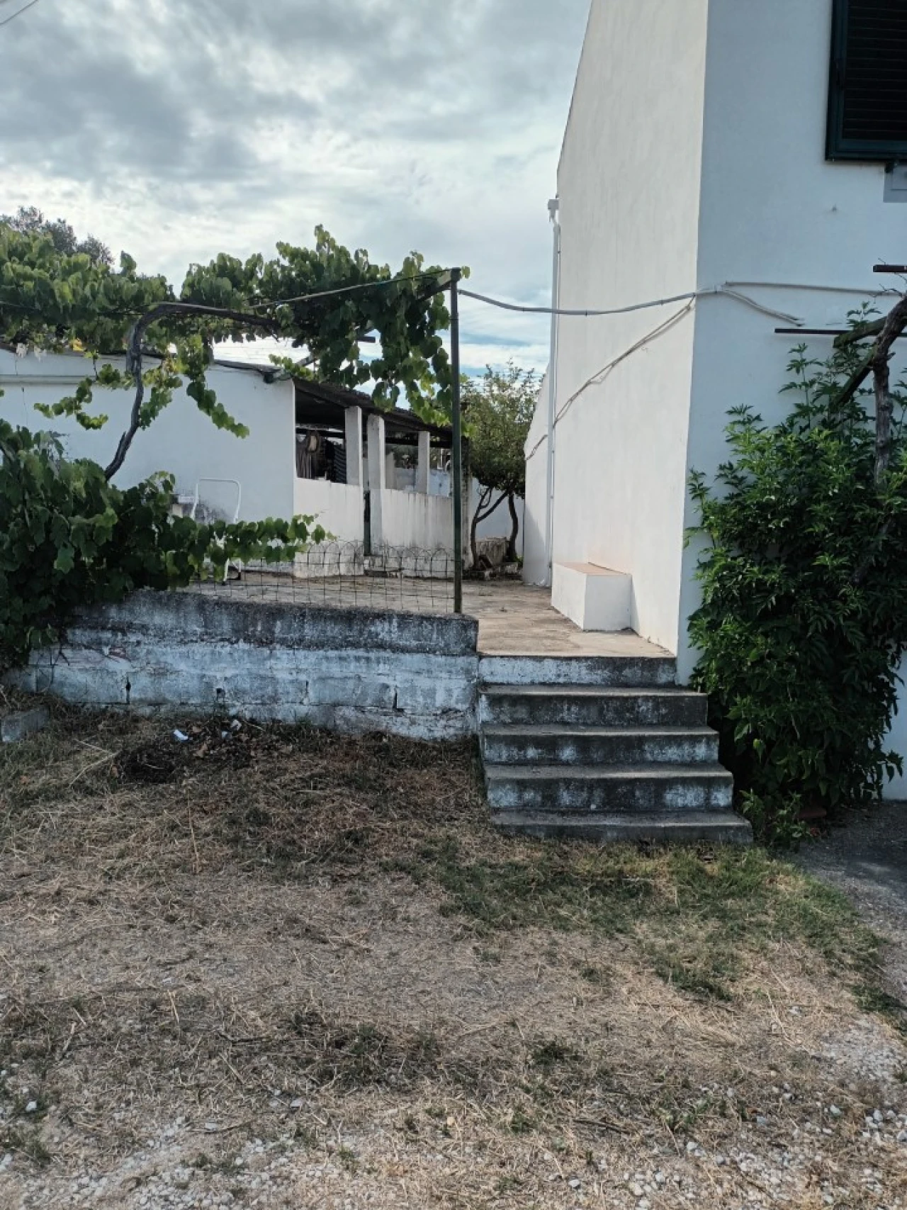 Quinta T5 para Venda em Sé e São Lourenço Foto 11